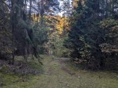 Parduodami du miškų ūkio skypai, 7,88 ha. ir - nuotraukos Nr. 10