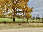 Žemės ūkio paskirties sklypas 8,33 ha., - nuotraukos Nr. 2