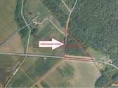 Parduodamas Miškas, Rukuižių km., Žagarės sen - nuotraukos Nr. 4