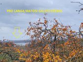 Gyvenamasis Namas 128,94 Kv.m. - nuotraukos Nr. 20