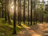 Kai erdvės daugiau, nei tikiesi iš 2 kambarių. - nuotraukos Nr. 28