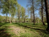 Parduodamas 99.91 aro žemės sklypas. Sklypas