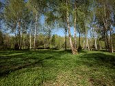 Parduodamas 99.91 aro žemės sklypas. Sklypas - nuotraukos Nr. 2