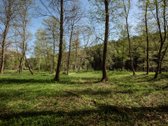 Parduodamas 99.91 aro žemės sklypas. Sklypas - nuotraukos Nr. 3
