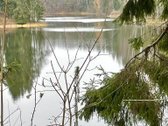 Ant Vėlykščio ežero kranto, ypač vaizdingoje