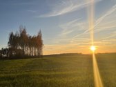 Parduodami du besiribojantus 19,62 ha žemės - nuotraukos Nr. 3
