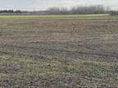 Parduodamas žemės ūkio paskirties sklypas 20 - nuotraukos Nr. 5