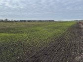 Parduodamas žemės ūkio paskirties sklypas 20 - nuotraukos Nr. 6