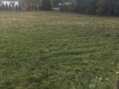 Parduodamas Namas su 4 arų sklypu Narimanto - nuotraukos Nr. 7