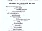 Parduodamas nestandartinis, išskirtinis - nuotraukos Nr. 13