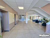 Dėmesio Akcija! - nuotraukos Nr. 14