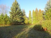 Parduodamas erdvus 15a sklypas Šarkaičių g. - nuotraukos Nr. 6