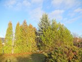 Parduodamas erdvus 15a sklypas Šarkaičių g. - nuotraukos Nr. 24