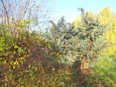 Parduodamas erdvus 15a sklypas Šarkaičių g. - nuotraukos Nr. 25