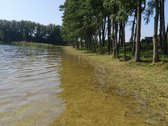 Parduodamas 46 arų namų valdos sklypas Aigėlų