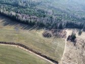 Parduodamas Didelis Sklypas Miško Apsuptyje - nuotraukos Nr. 2