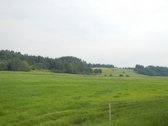 Parduodamas Sklypas Su Mišku Prienuose, Kauno - nuotraukos Nr. 7