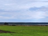 Vaizdas į ežerą. Netoli miškas. Nuošali vieta - nuotraukos Nr. 4