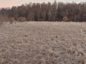 Parduodami 3 žemės sklypai (namų valdos - nuotraukos Nr. 4