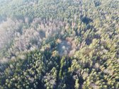 Pundeliškių Gyvenenvetėje Gamtos Apsuptyje - nuotraukos Nr. 3