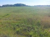 Skubiai Parduodu žemės sklypą,. Barliškių km - nuotraukos Nr. 3