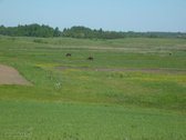 Skubiai Parduodu žemės sklypą,. Barliškių km - nuotraukos Nr. 7