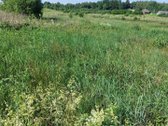 Skubiai Parduodu žemės sklypą,. Barliškių km - nuotraukos Nr. 2