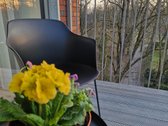 Patogioje vietoje nuomojamas trijų kambarių - nuotraukos Nr. 20