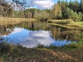 Nuostabiame Druskininkų savivaldybės - nuotraukos Nr. 11