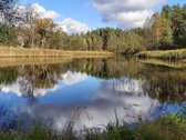 Nuostabiame Druskininkų savivaldybės - nuotraukos Nr. 12