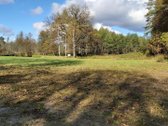 Nuostabiame Druskininkų savivaldybės - nuotraukos Nr. 13
