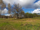 Nuostabiame Druskininkų savivaldybės - nuotraukos Nr. 20