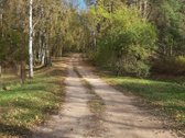 Nuostabiame Druskininkų savivaldybės - nuotraukos Nr. 23