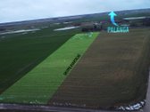 Atnaujinimai: - nuotraukos Nr. 2