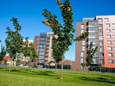 Brokerių Prašau Neskambinti Ir Nesiūlyti Savo - nuotraukos Nr. 17