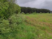 Parduodamas jaukus slypelis, besiribojantis - nuotraukos Nr. 5