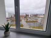 Ilgalaike -Trunpalaike Nuoma Nuomuojami du - nuotraukos Nr. 5
