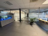 Šalia Klaipėda–kaunas–Vilnius automagistralės - nuotraukos Nr. 3
