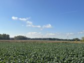Parduodami Sklypai Panevėžio Mieste Nuosavų - nuotraukos Nr. 2