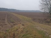 Namų valdos sklypas, asfaltuotas - nuotraukos Nr. 14