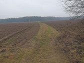 Namų valdos sklypas, asfaltuotas - nuotraukos Nr. 15