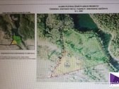 Ant Vėlykščio ežero kranto, ypač vaizdingoje - nuotraukos Nr. 6