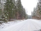 Parduodamas 2,66ha žemės ūkio paskirties - nuotraukos Nr. 25