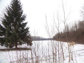 Parduodamas 2,66ha žemės ūkio paskirties - nuotraukos Nr. 28