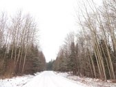 Parduodamas 2,66ha žemės ūkio paskirties - nuotraukos Nr. 30
