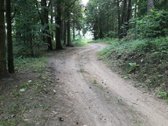 Parduodamas namų valdos 16,38 arų sklypas - nuotraukos Nr. 5