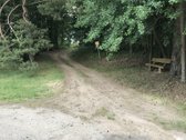 Parduodamas namų valdos 16,38 arų sklypas - nuotraukos Nr. 4