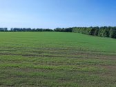 Parduodamas 2,96 ha (296 a) sklypų kompleksas - nuotraukos Nr. 2
