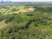 Parduodamas Žemės Ūkio Paskirties Sklypas! - nuotraukos Nr. 11