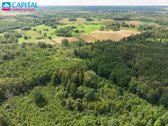 Parduodamas Žemės Ūkio Paskirties Sklypas! - nuotraukos Nr. 12